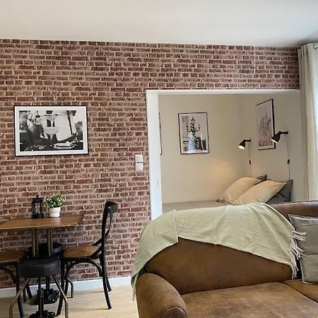 Apartment Le Paris Appart' T2 Au Centre Du Mans Le Mans